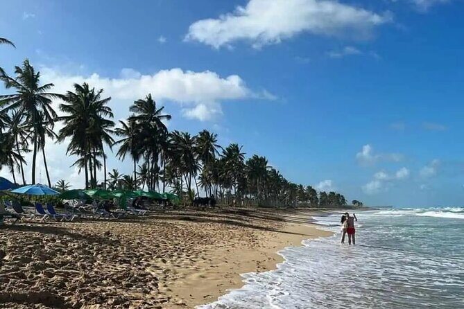 Full Day City Tour of Punta Cana - Jumbo: A Short Peek at Normal Shopping Life