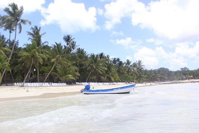 Full-Day Cruise to Saona Island - Natural pool and lunch - Palmilla Natural Pool stop: short swim, big scenery