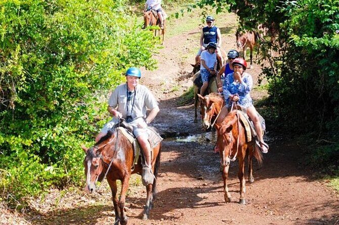 Full Day Eco Safari Adventure and Cultural Tour - Entering the Punta Cana countryside on a safari-style truck