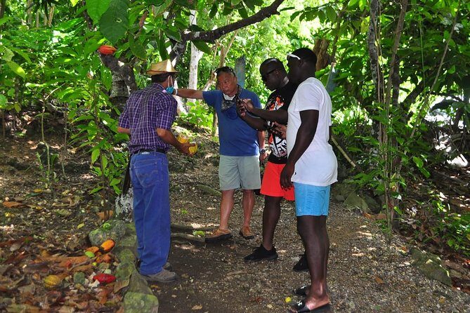Full Day Eco Safari Adventure and Cultural Tour - How the timing really works (and how to survive it comfortably)