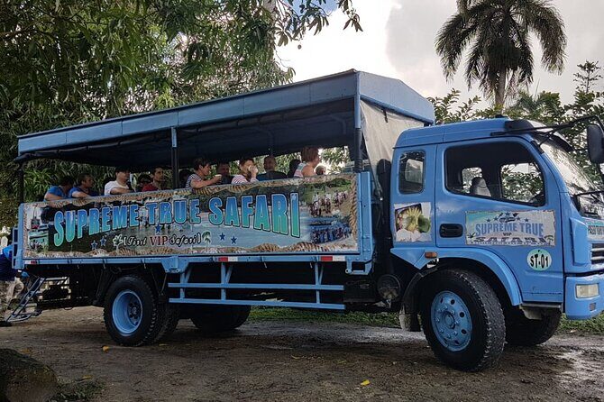 Full Day Eco Safari Adventure and Cultural Tour - Price and value: what $79.99 buys you in the real Dominican day