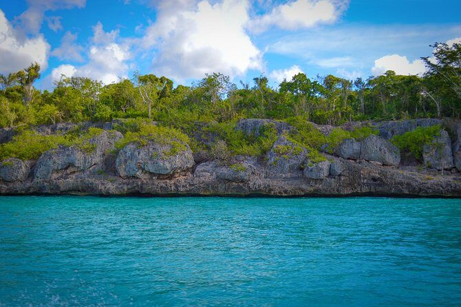 Full Day Excursion in Saona Island - Isla Saona beach time: free hours, buffet lunch, and the crowd reality