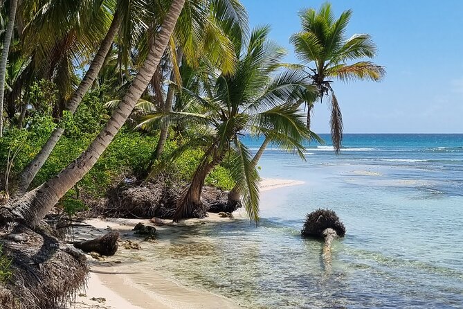 Full Day Island Tour in Isla Saona from Punta Cana - Timing, pace, and group size: who this works best for