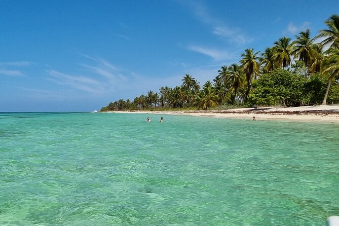 Full Day Island Tour in Isla Saona from Punta Cana - Weather and the realism check for sea days