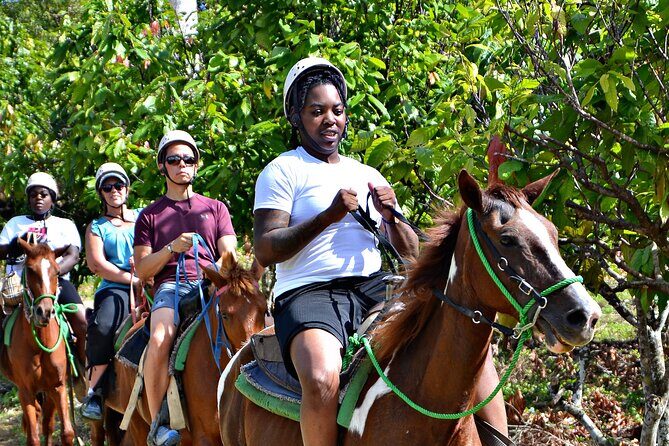 Full-Day La Hacienda Dune Buggy with Zipline & Horseback Activity - A Typical Dominican Home: Cacao, Coffee, and Cigar Rolling