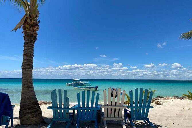 Full Day Private Tour of Bayahibe, Cotubanamá and Saona Island - Key Highlights You’ll Actually Care About