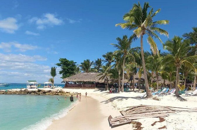Full Day Private Tour of Bayahibe, Cotubanamá and Saona Island - Natural Pool Swim, Then Mangroves, Turtles, and Starfish