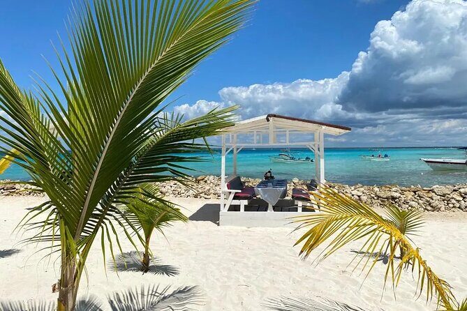 Full Day Private Tour of Bayahibe, Cotubanamá and Saona Island - Who Should Book This Tour, and Who Might Want Something Different