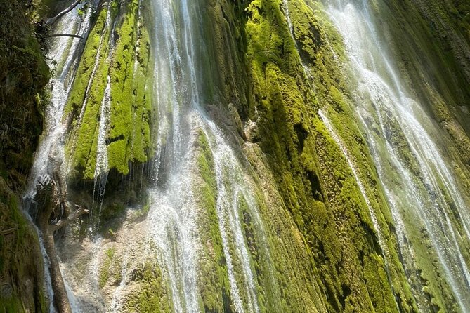 Full Day SAMANA ADVENTURE Tour - Punta Cana - Timing and Logistics From Punta Cana: Be Ready for 5:00 am