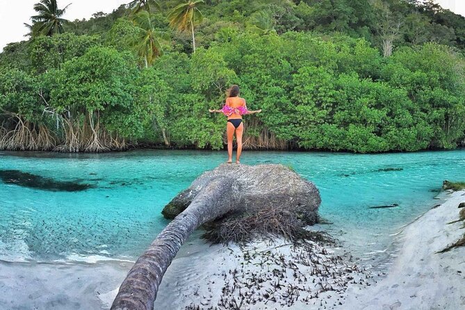 Full Day SAMANA ADVENTURE Tour - Punta Cana - Bacardi Island (Cayo Levantado) Beach Time With Open Bar and Loungers