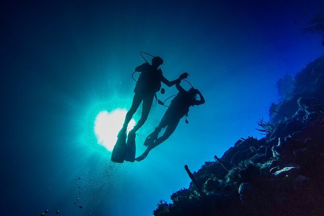 Full-Day Scuba Diving Catalina Island Tour from Bavaro - Quick hits: what makes this tour worth your time