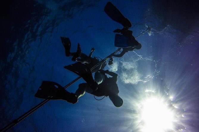 Full-Day Scuba Diving Catalina Island Tour from Bavaro - Boats, comfort, and the open-bar reality check
