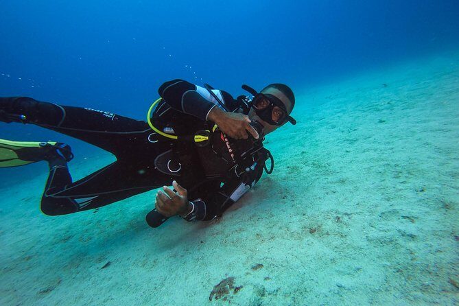 Full-Day Scuba Diving Catalina Island Tour from Bavaro - Gear, safety, and your certification requirements