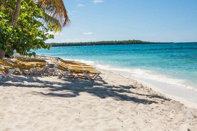 Full-Day Scuba Diving Catalina Island Tour from Bavaro - Price and logistics: how the $130.50 value adds up