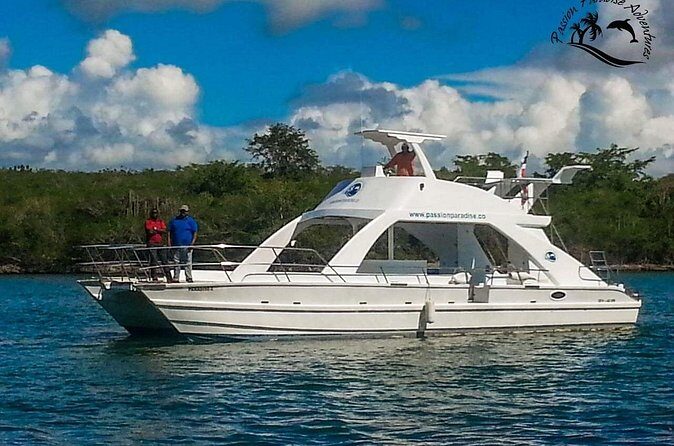 Full Day Snorkeling in Catalina Island with Transportation and Lunch - Isla Catalina snorkeling: what you can realistically expect
