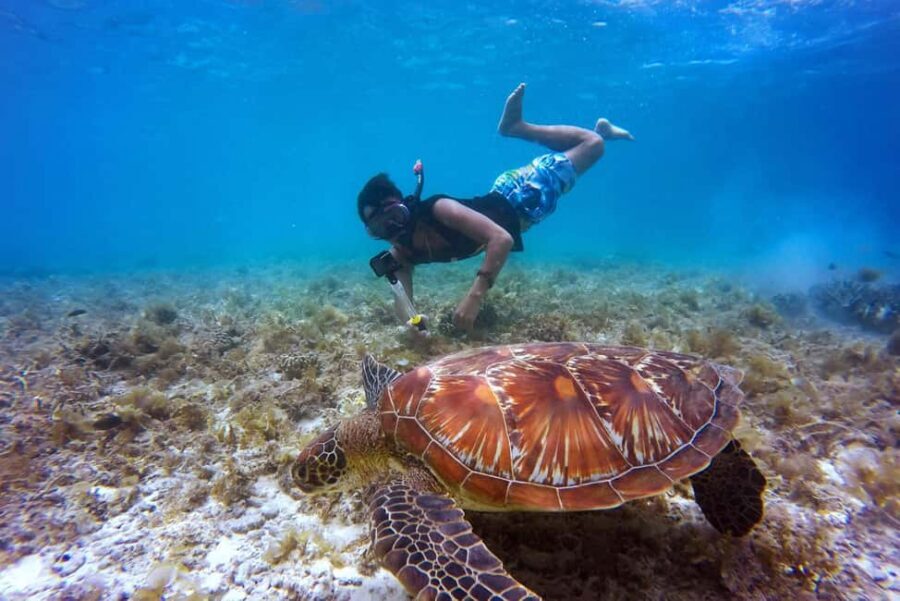 Full-Day Snorkeling Tour to Catalina Island - Catalina Island West Side: Beach Time That Feels Like a Real Break