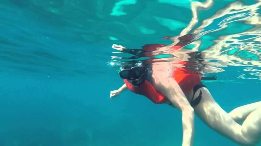 Full-Day Snorkeling Tour to Catalina Island - Price and Value: Is $75 a Good Deal for Catalina Snorkeling?