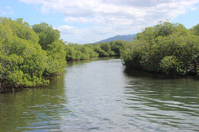 Full-Day Tour Isla Bonita Deluxe - Monte Cristi National Park: mangrove tunnels and wildlife pauses