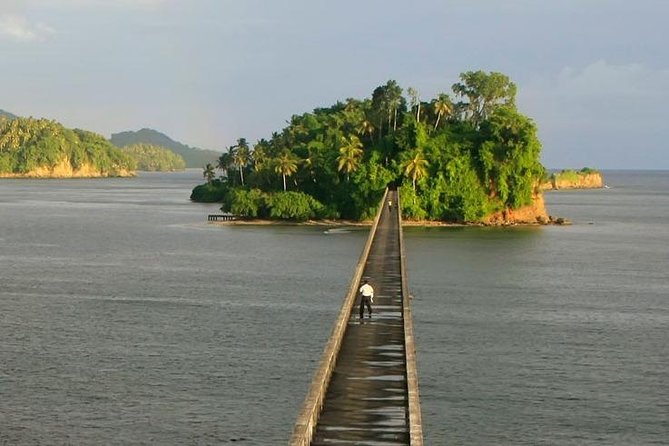 Full day tour to samana bay from punta cana - Why Samana Bay is worth a full-day run from Punta Cana