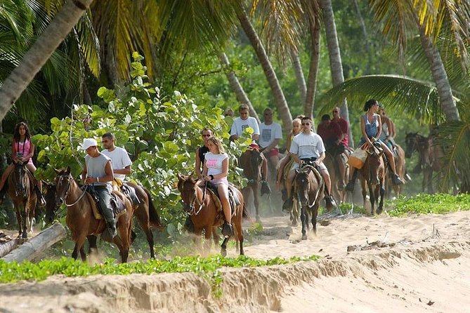 Full day tour to samana bay from punta cana - Stop 1: Samana Bay time, with water views that start the day right