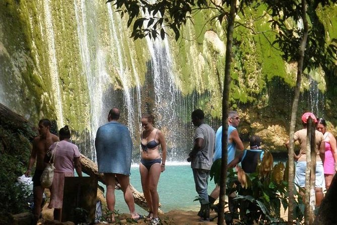 Full day tour to samana bay from punta cana - Price, timing, and group size: what $145 buys you