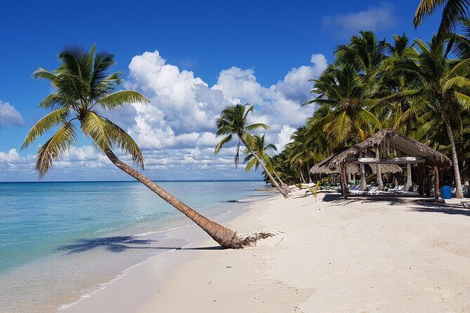 Full Day Tour to Saona Island by Catamaran and Speedboat - From Punta Cana to Saona Island: why this day feels like a win