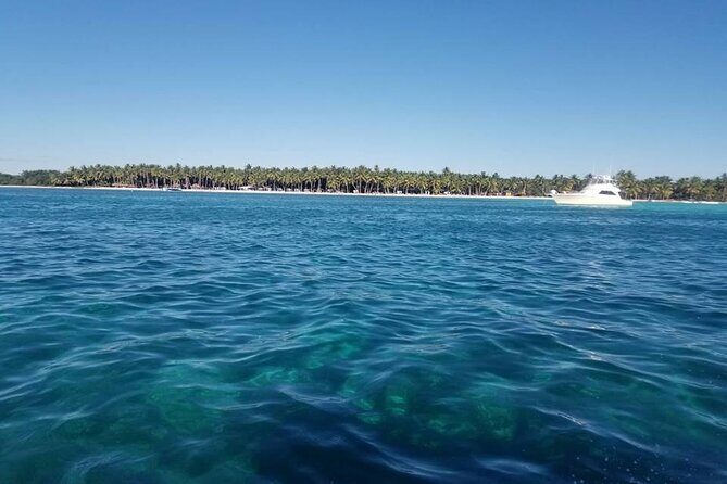 Full Day Tour to Saona Island by Catamaran and Speedboat - Natural Pool at Playa Palmilla: shallow water, starfish spotting, and a gentle hike
