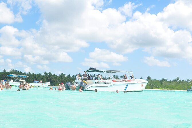 Full Day Tour to Saona Island by Catamaran and Speedboat - Buffet lunch on Saona: why it’s more than a perk