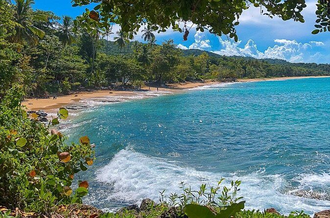 Full Day Tour to the Blue Lagoon and 7 Different Destinations - Rio San Juan plantation: coffee, cocoa, and fruit that tastes real