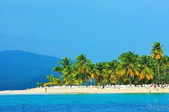 Full-day Whale watching Tour in Samana Bay from Punta Cana - Price and value: when $130 makes sense (and when it might not)
