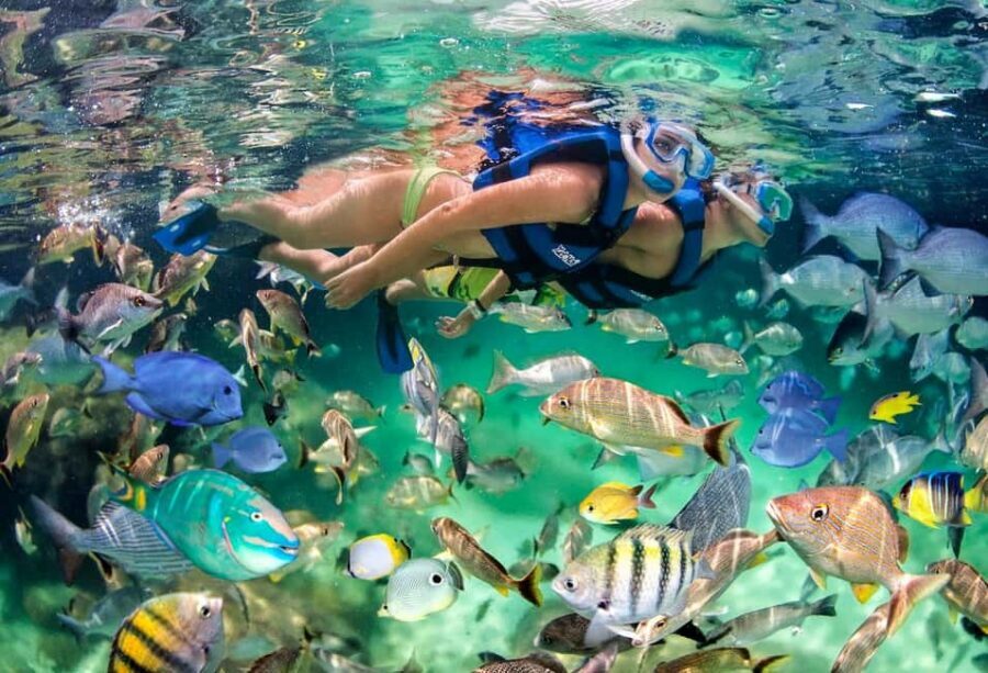 Glass Boat Adventure In Punta Cana - Key highlights worth knowing