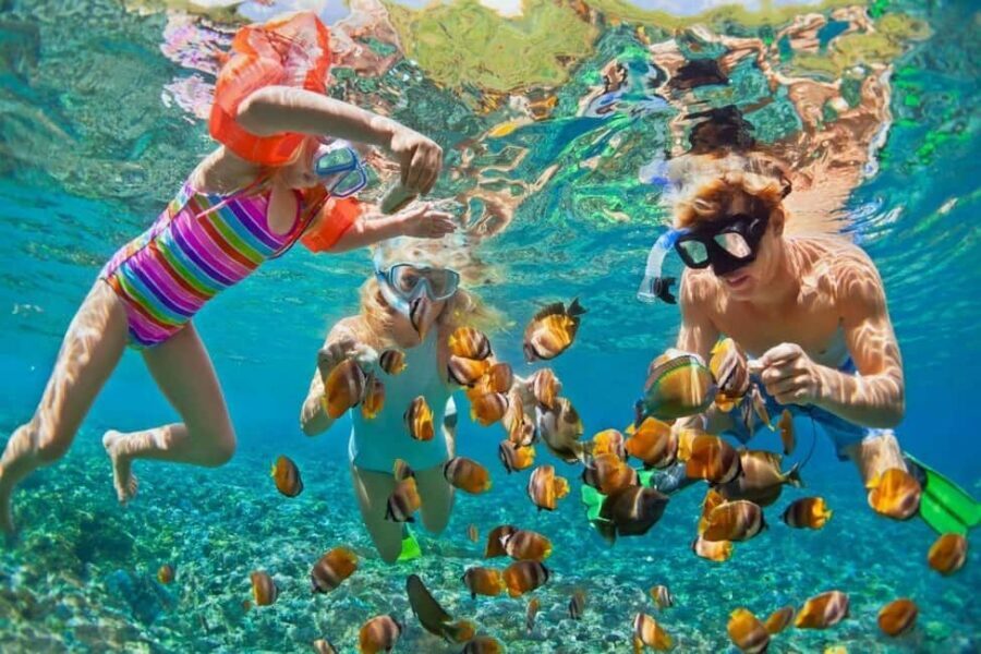 Glass Boat Adventure In Punta Cana - Snorkeling and marine life: what to expect from the water time