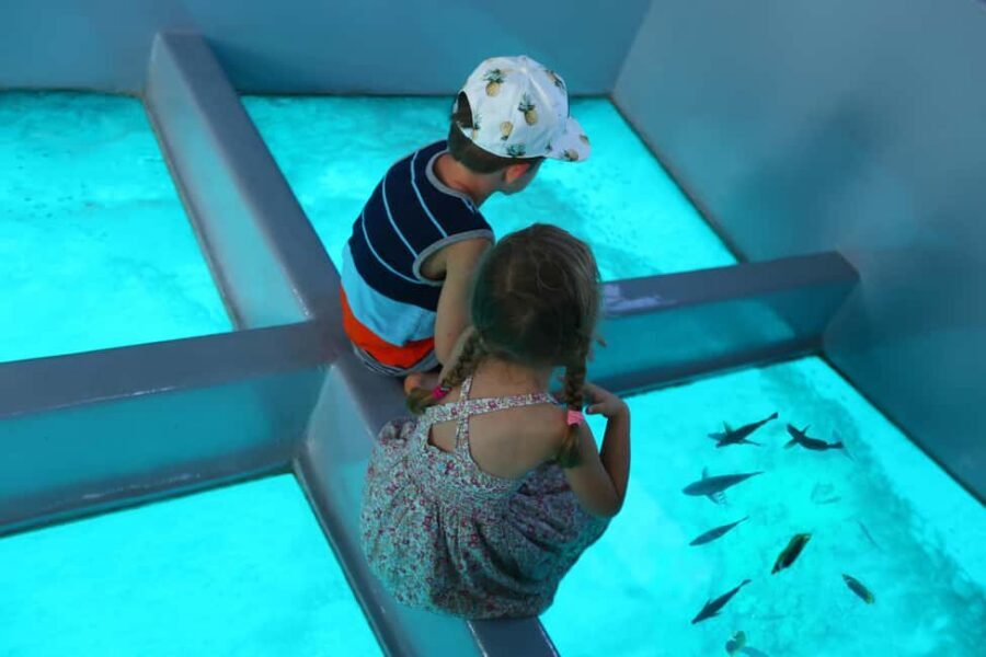 Glass Boat Adventure In Punta Cana - The “see without getting wet” value of a glass-bottom boat