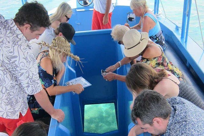 Glass Bottom Boat in Punta Cana - Snorkeling Gear and the Natural Swimming Pool (Shallow Ocean Time)