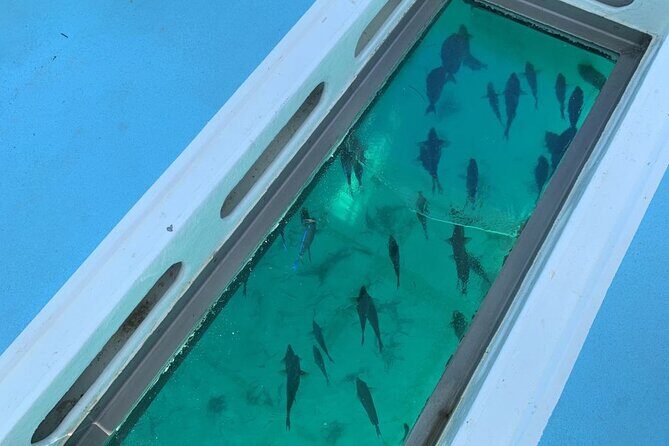 GlassBottom Catamaran with Slide - Getting There: Air-Conditioned Pickup and Multiple Daily Departures