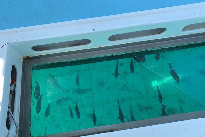 GlassBottom Catamaran with Slide - Price and Value: What $65 Buys You in Punta Cana