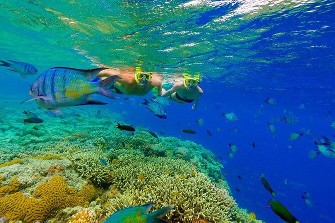 Great Snorkeling Cruise with Sharks & Stingray Encounter and Natural Pool - Getting to Bavaro Beach and meeting the crew