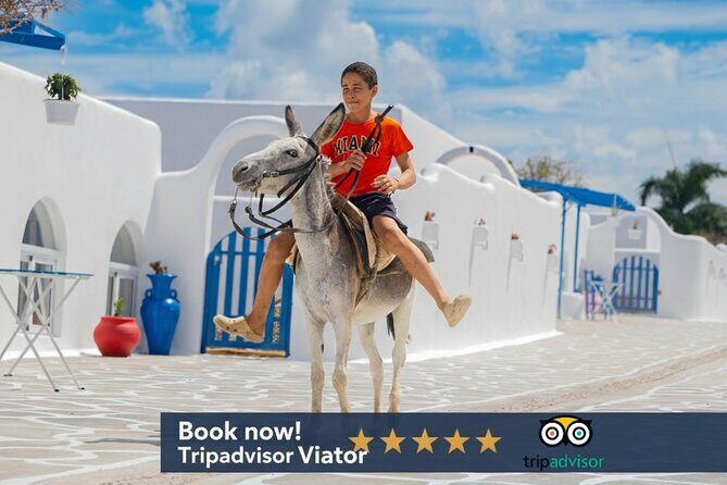 GreekLand The Santorini at Puerto Plata plus City Tour - Key things that make this tour worth your time
