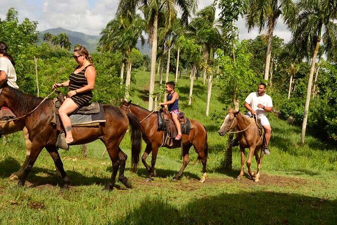 Guided Horseback Ride On The Beach With Pickup From Punta Cana - Key Things That Make This Ride Worth $47