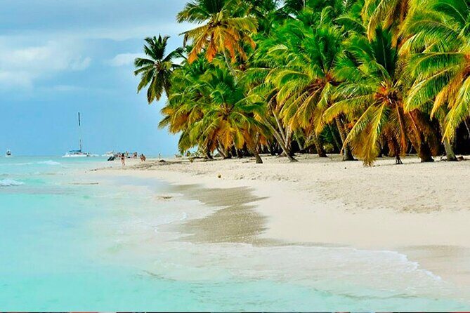 Guided Saona Island Tour in Punta Cana - Price and Value: What $95 Buys You in Punta Cana