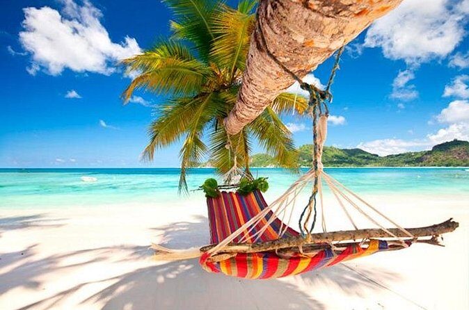 Guided Saona Island Tour in Punta Cana - Mangroves and Direct Transportation: A Quiet Boost to the Day