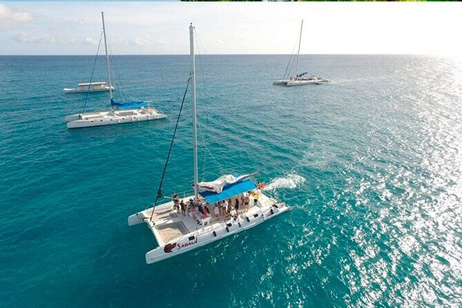 Guided Saona Island Tour in Punta Cana - The Morning Start: 7:00 AM and Why It Matters