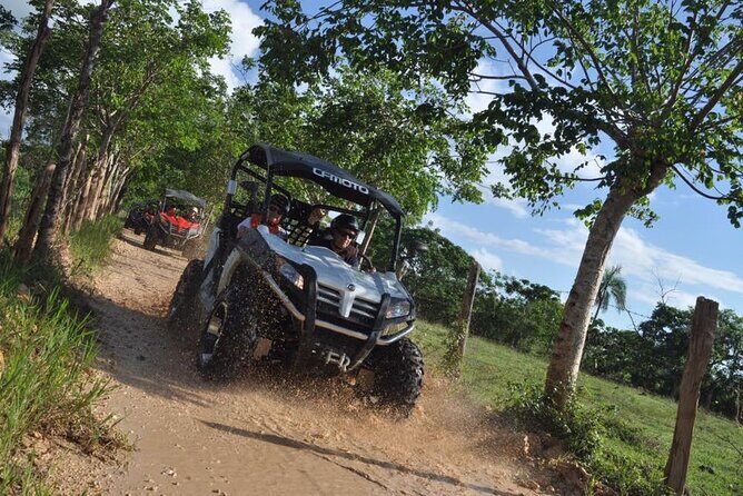 Guided Tour in Polaris (4X4) by Macao Beach, Taino Cave and Typical House - The typical house tastings: what you’ll actually learn