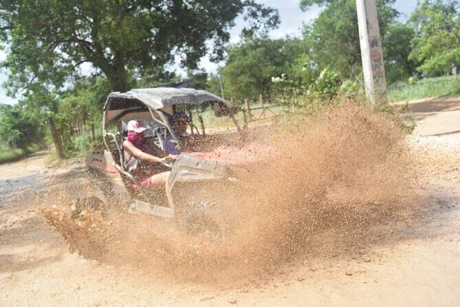 Guided Tour in Polaris (4X4) by Macao Beach, Taino Cave and Typical House - Who this tour suits best, and who should skip it