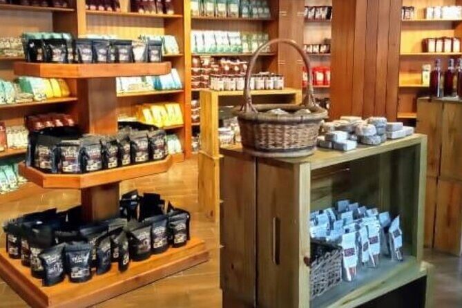 Guided Tour to Don Lucas Cigars Factory and Souvenirs Store - Chocolate and Rum Tasting: Where the Tour Feels Most Dominican