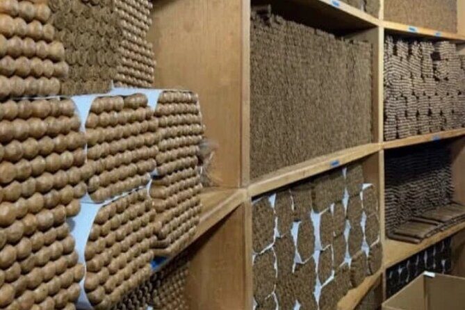 Guided Tour to Don Lucas Cigars Factory and Souvenirs Store - Who This Tour Suits Best (and Who Might Skip)