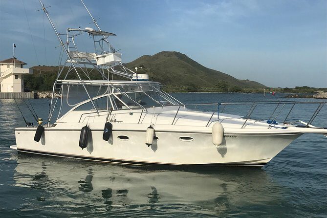 Half Day Big Game Fishing private charter - Private big game fishing around Puerto Plata: what you’re paying for