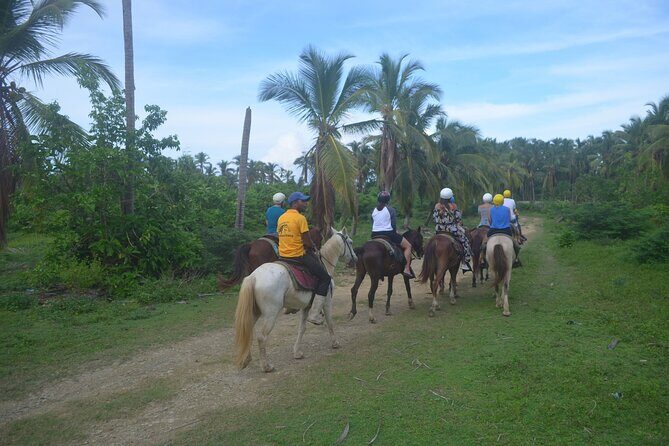 Half Day Buggies and Horseback Experience in Punta Cana - Food stops that aren’t just a snack: coffee, chocolate, rum