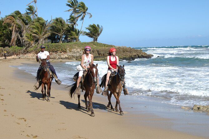 Half Day Buggies and Horseback Experience in Punta Cana - Punta Cana interior + Macao Beach: where the tour earns its keep
