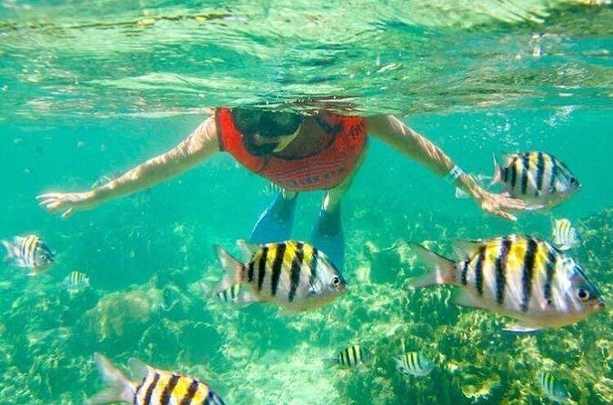 Half Day Catamaran & Snorkeling - Who Should Book This Catamaran, and Who Might Skip It